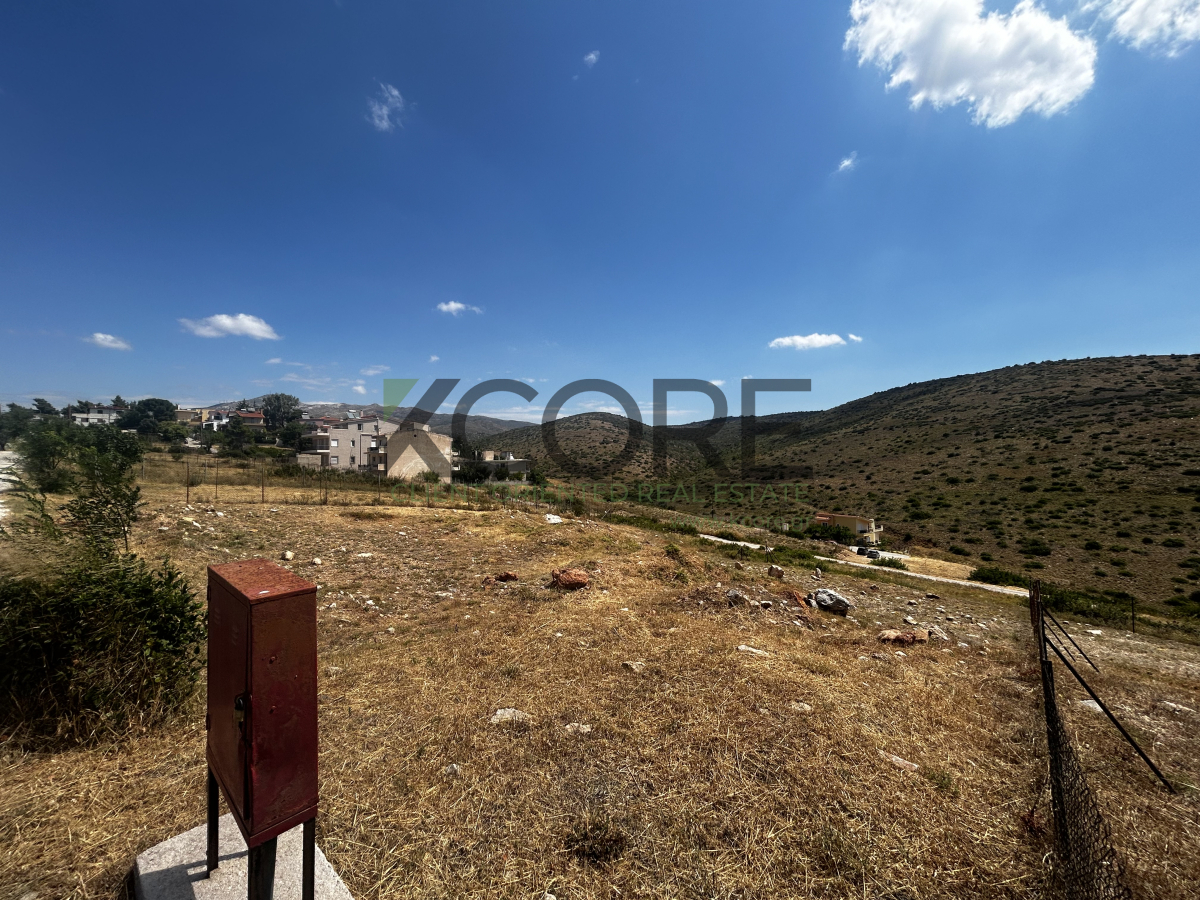 property-img